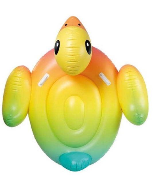 DUCK FLOAT