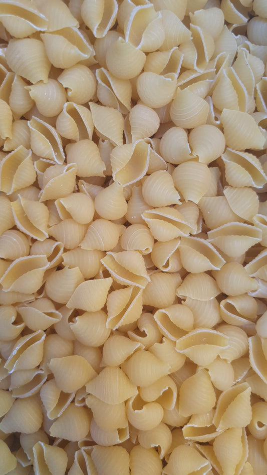 JB - Pasta - Shells - Macaroni - پاستا