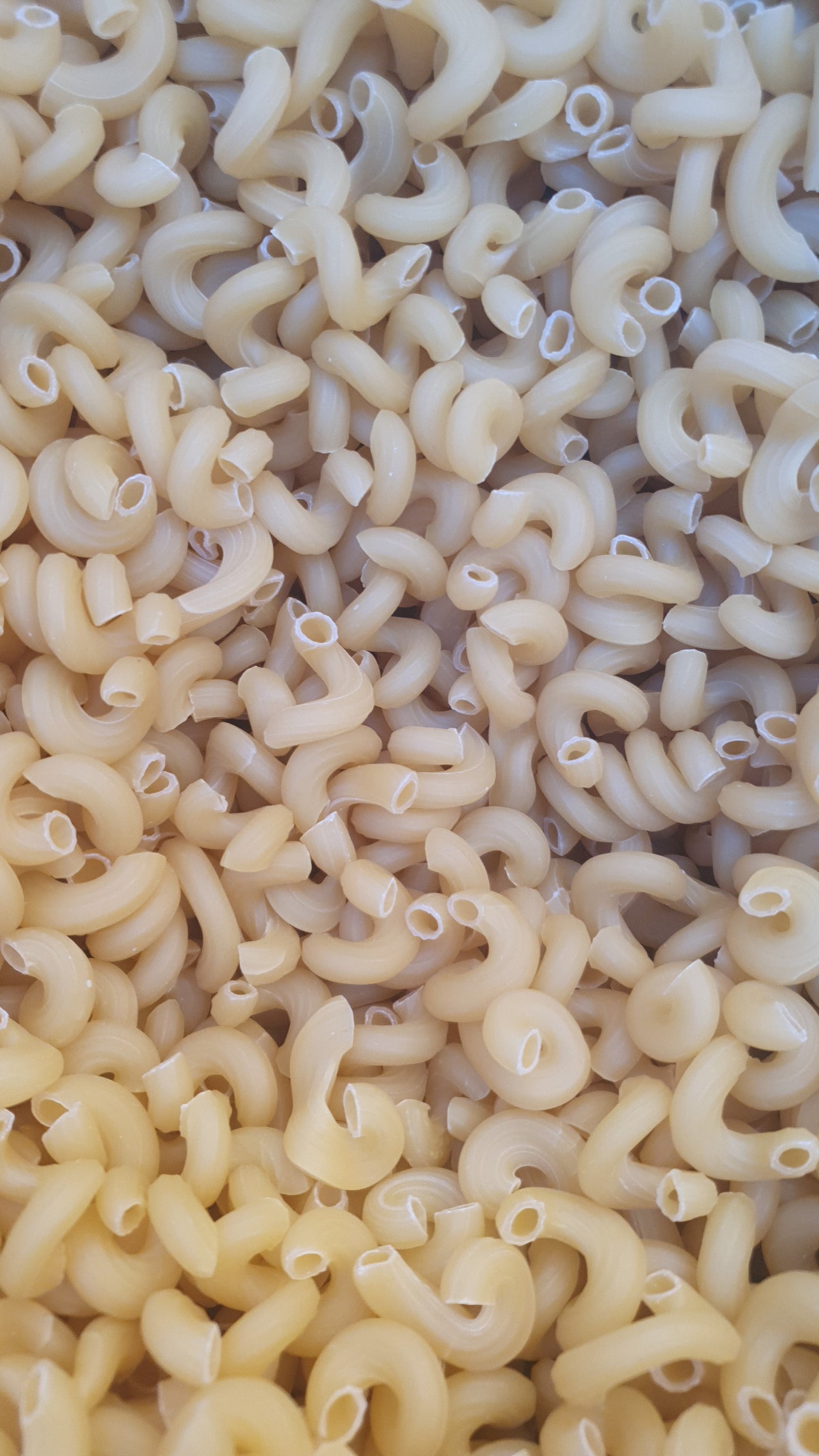 JB - Pasta - Elbows - Macaroni - پاستا