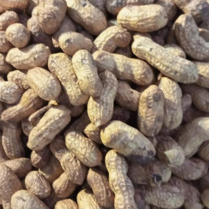 JB - Parchinaar - Peanuts - In shell - Whole - 1 KG - مونگفلی - Moongphali - Large