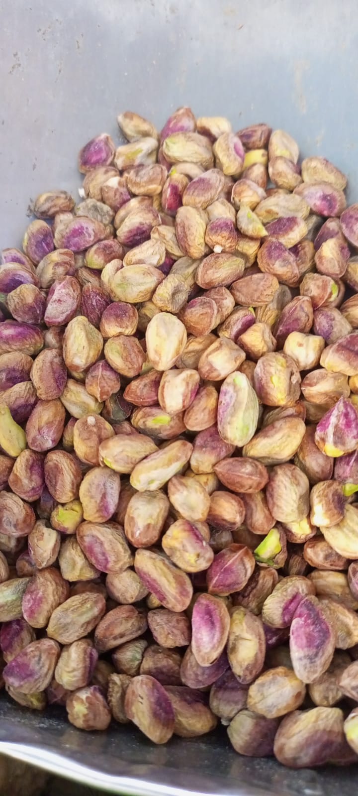 JB - Pista - Kandhaari - Pistachio Kernal - Unsalted - Maghaz
