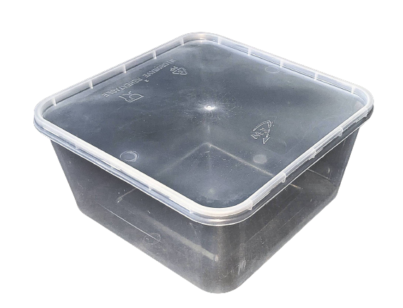 2000 ML - Container Boxes -Transparent Plain - Plastic Disposable Food Container With Lid