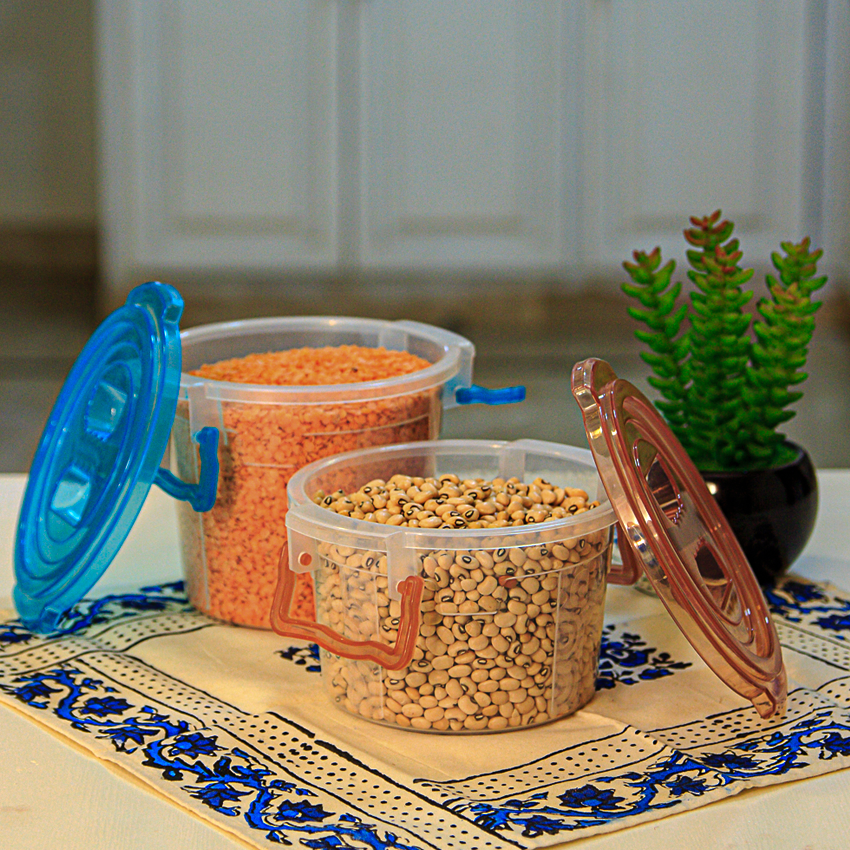 Handy Container Junior Pack of 2 (1000ml and 1200ml) With Foods