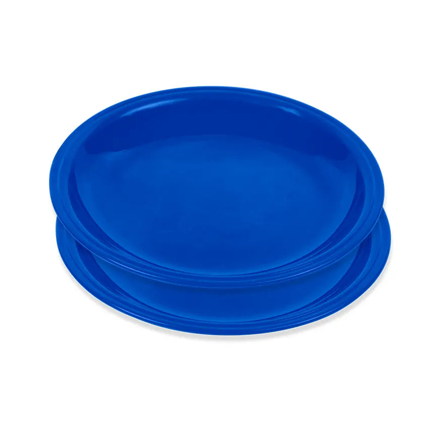 Saga Plate 2 pcs set Medium in Assorted