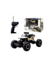 Rock Crawler Electric RC