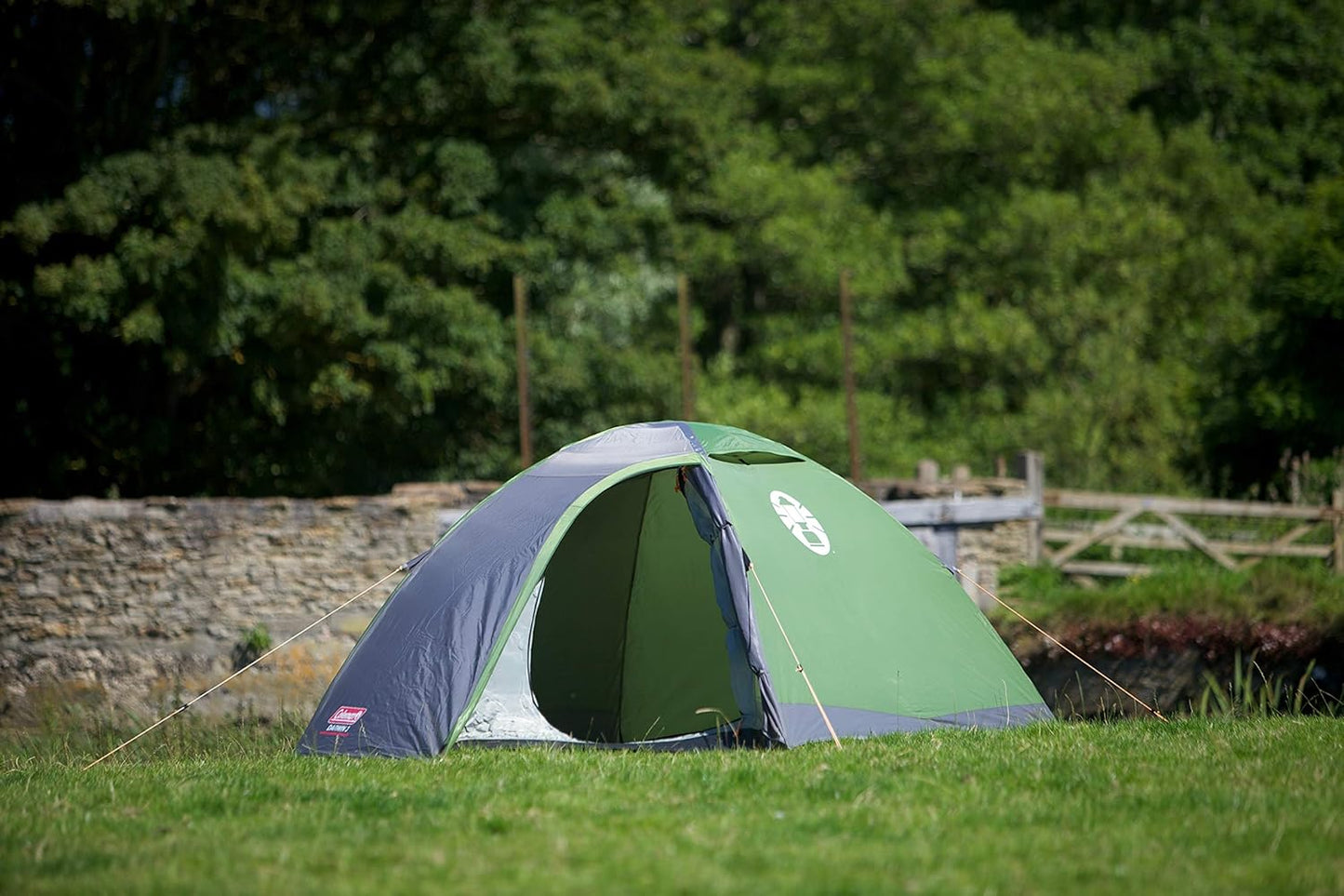Coleman - Darwin 3 Tent, Compact 3 Man Dome Tent, Green/Grey