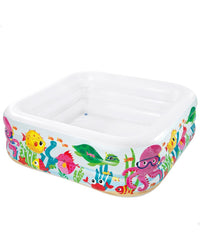 CLEARVIEW AQUARIUM POOL (62Â½x62Â½x19Â½ INCH)