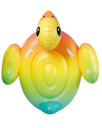 DUCK FLOAT