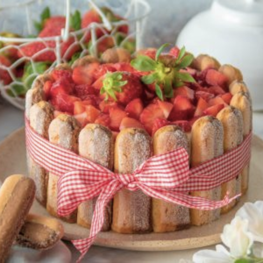 Forno Bonomi with Cacao - Ladyfingers Biscuits - Savoiardi - 200g - 15 -Pack Carton