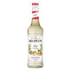 Monin - Ginger Syrup - 700 ml - Le Sirop De Monin