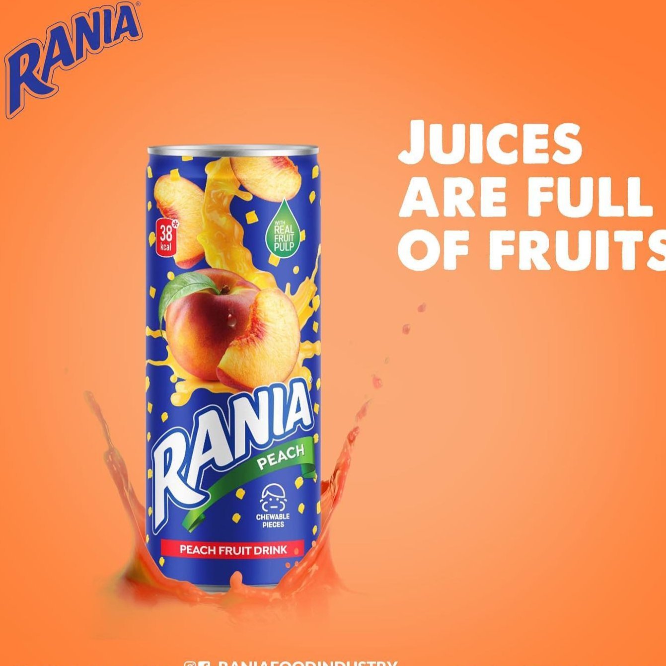 Rania Float Fruit - Pakistani - 240 ML (Pack of 24) - Peach, Mango, Orange Flavor