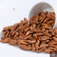 JB - Chilghoza - Pine Nuts - 1 KG - چلگوزا - A Quality - Bara Dana