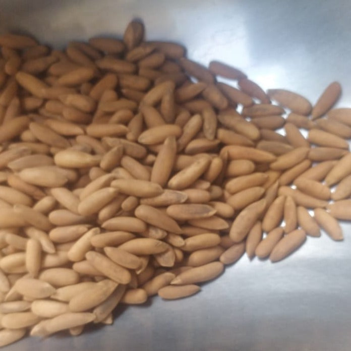 JB - Chilghoza - Pine Nuts - 1 KG - چلگوزا - B Quality