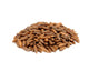 JB - Chilghoza - Pine Nuts - 1 KG - چلگوزا - B Quality
