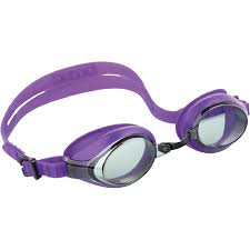 PRO RACING GOGGLE 55691