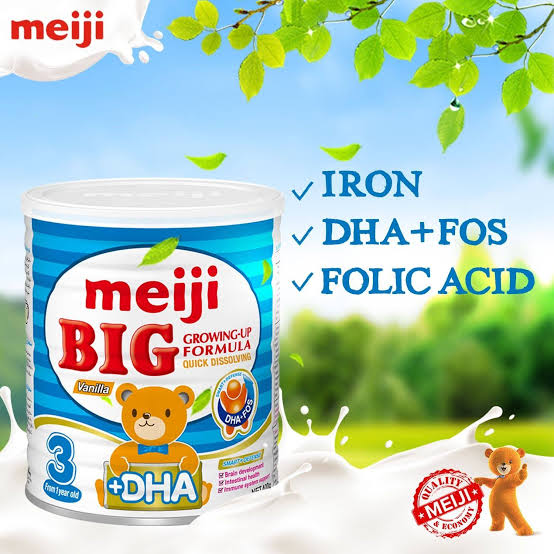 Meiji BIG - 1 Year onwards - 400g