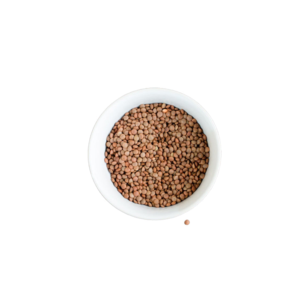 JB - Sabut Masoor Ki Daal - Khari Daal - 1 KG - Black / Brown Lentils - مسور کھڑی