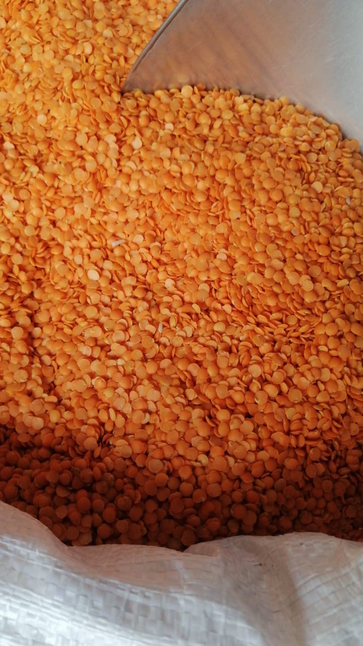 JB - Masoor Ki Daal - Lal - Red Lentils - 1KG - لال مسور کی دال