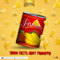 Fruitamins - Pineapple - 565 grams - Sliced - Thailand - 1 CTN (24 pcs)