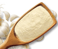 Shan Foods - Plain Spices - Garlic Powder - 1 Kg - Institutional Packs