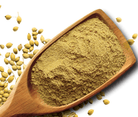 Shan Foods - Plain Spices - Coriander Powder - 1 Kg - Institutional Packs