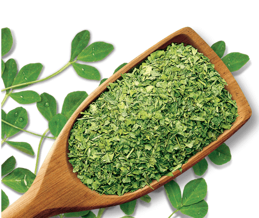 Shan Foods - Plain Spices - Qasuri Methi - 200 G - Institutional Packs