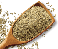 Shan Foods - Plain Spices - Cumin - Whole - 800 Gm - Institutional Packs