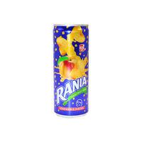 Rania Float Fruit - Pakistani - 240 ML (Pack of 24) - Peach, Mango, Orange Flavor