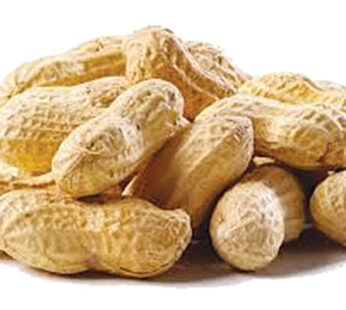 JB – Parchinaar – Peanuts – Unshelled – 1 KG – مونگفلی – Moongphali – Large